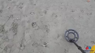 Vidéo